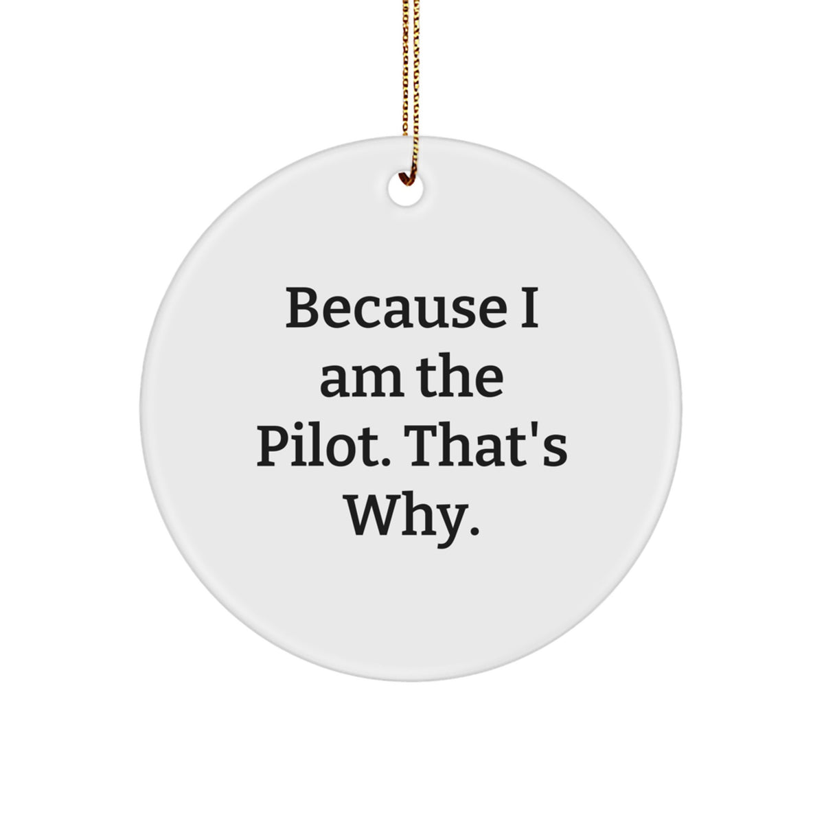 Pilot Gifts from Friends - Because I Am The Pilot. That's Why. - Circle Ornament for Christmas - Image 1