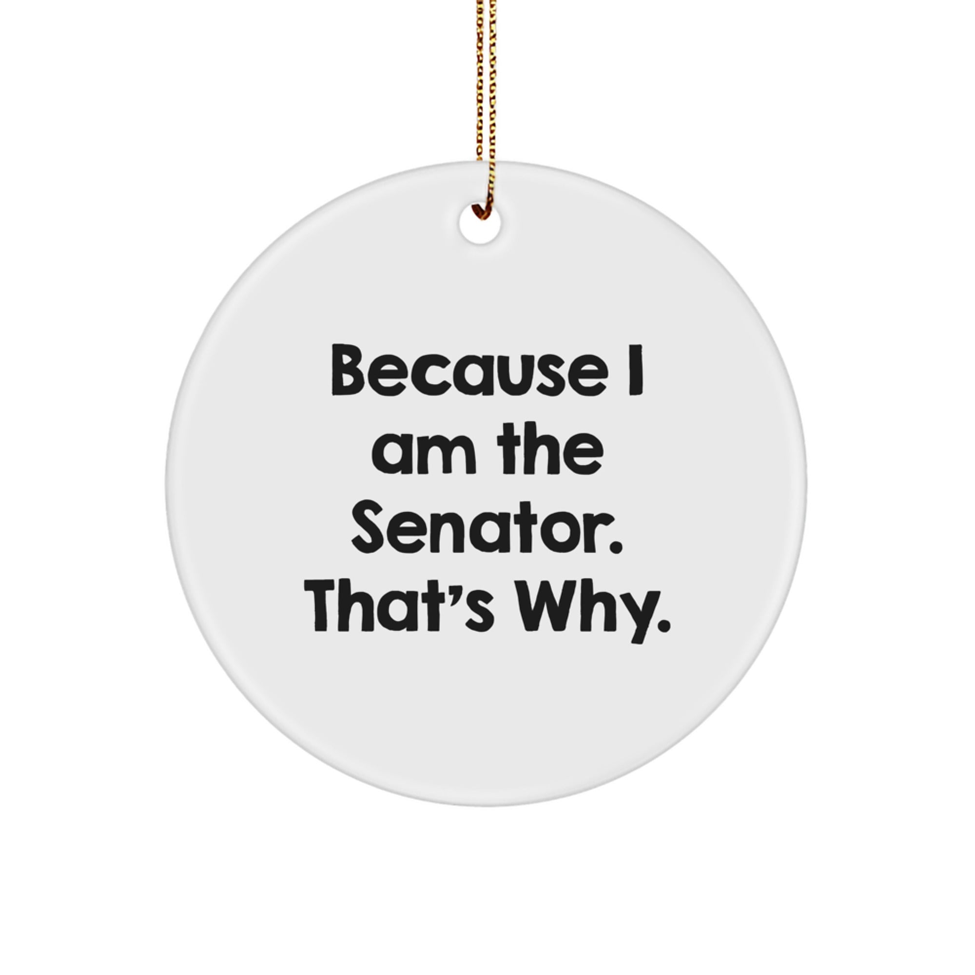 Senator Circle Ornament, Funny 'Because I Am The Senator. That's Why.' Quote, Gifts from Family to Senator, Unique Christmas Decor - Image 1