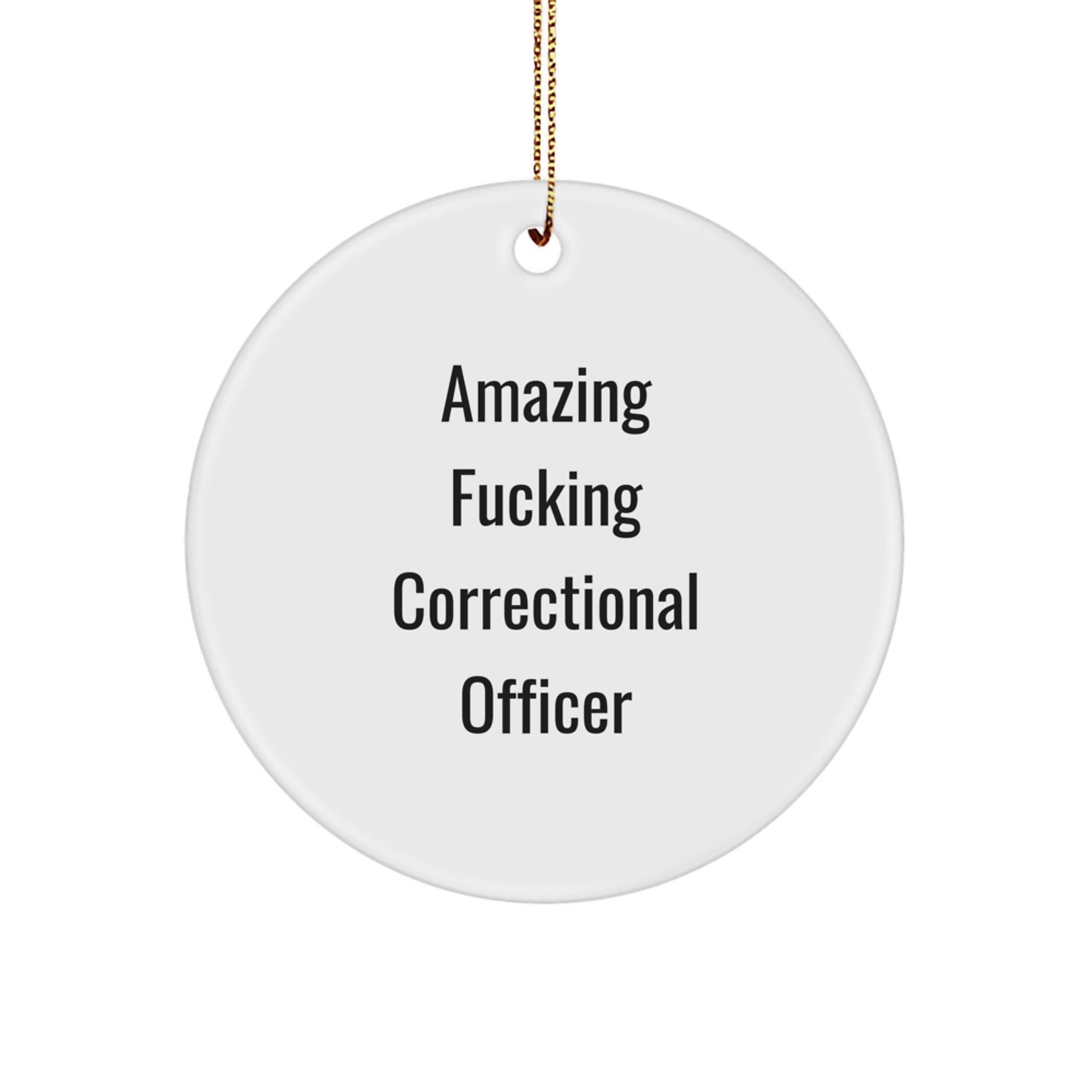 Funny Correctional Officer Gifts from Friends for Christmas - 'Amazing F--king Correctional Officer' Circle Ornament - Image 1