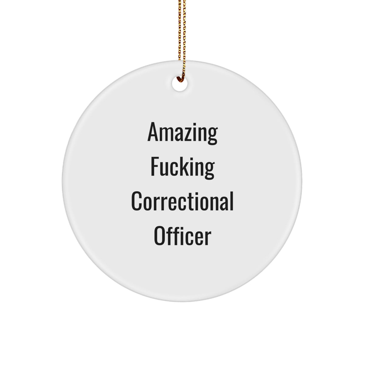 Funny Correctional Officer Gifts from Friends for Christmas - 'Amazing F--king Correctional Officer' Circle Ornament - Image 1