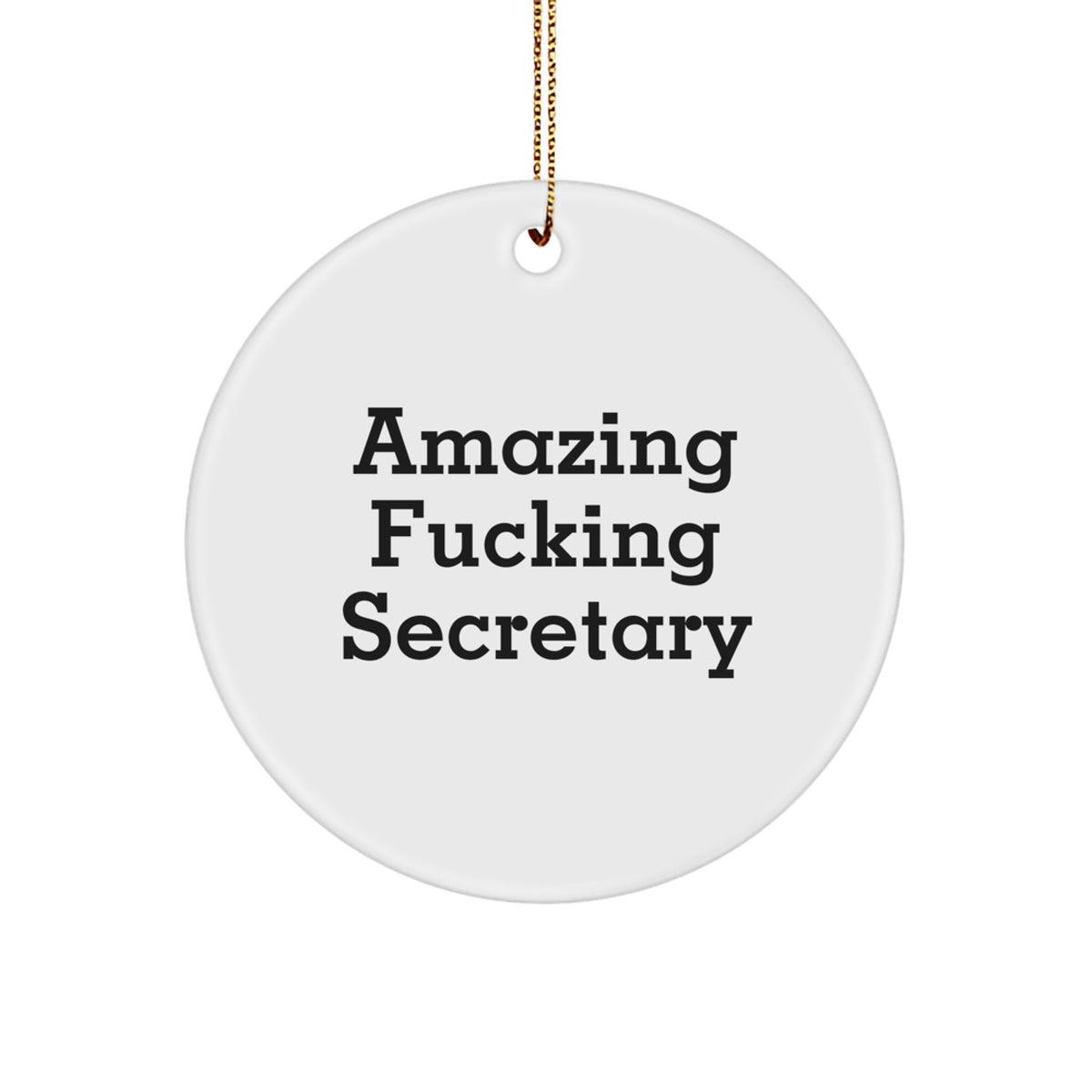 Funny Secretary Circle Ornament Gifts from Friends to Coworkers for Christmas - Image 1