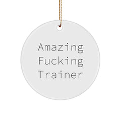 Funny Trainer Gifts from Friends - 'Amazing F--king Trainer' Quote Circle Ornament for Christmas - Image 1