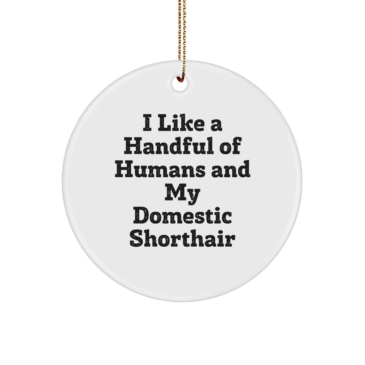 Domestic Shorthair Cat Lover Gifts from Friends for Christmas Handful of Humans - Image 1