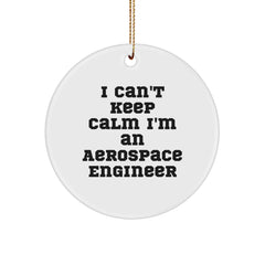 Aerospace Engineer Gifts I Can't Keep Calm Circle Ornament, Funny Quote for Christmas, Gifts from Friends for Men, Women, Coworkers, Family - Image 1