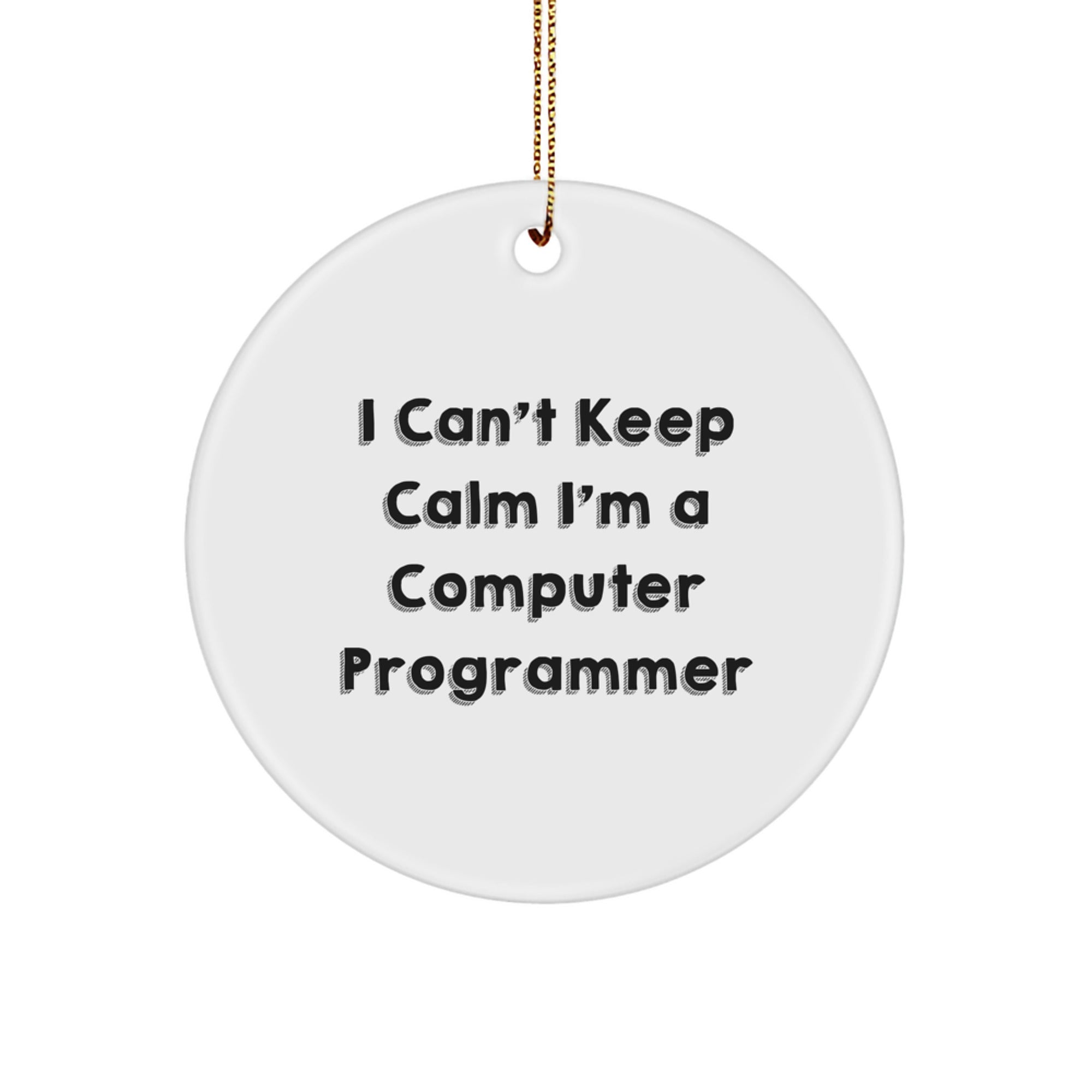 Funny Computer Programmer Gifts from Friends or Family - I Can't Keep Calm Circle Ornament for Men or Women - Christmas Unique Decorations - Image 1