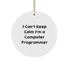 Funny Computer Programmer Gifts from Friends or Family - I Can't Keep Calm Circle Ornament for Men or Women - Christmas Unique Decorations - Image 1