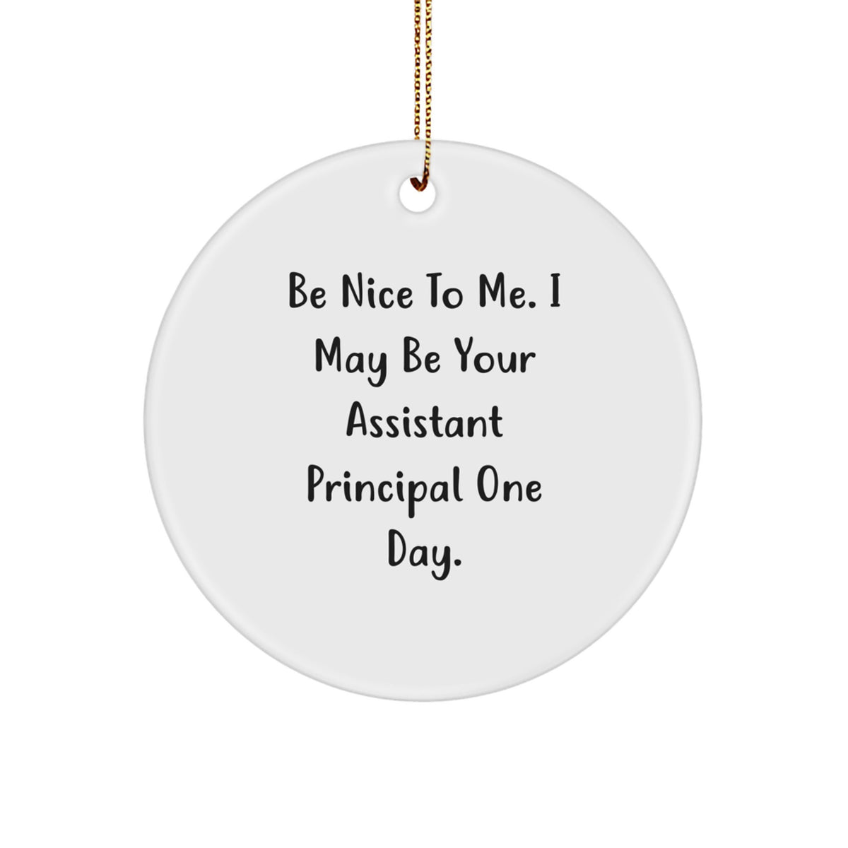 Funny Assistant Principal Gifts from Friends for Assistant Principals - Be Nice To Me. I May Be Your Assistant Principal One Day. Circle Ornament - Image 1