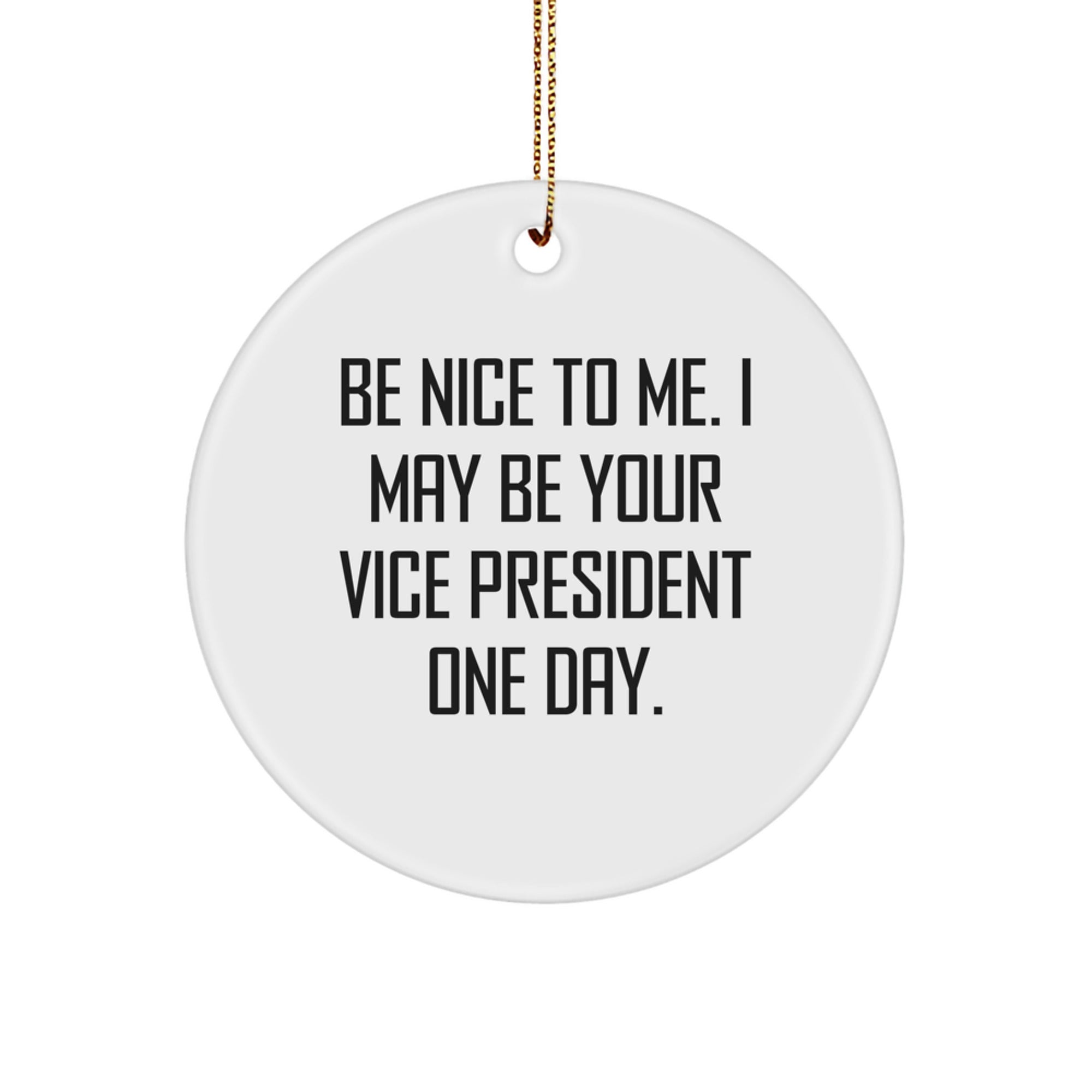 Funny Vice President Gifts for Men - Circle Ornament with 'Be Nice To Me. I May Be Your Vice President One Day.' Quote, Unique Christmas Unique Gifts from Men to Vice President - Image 1