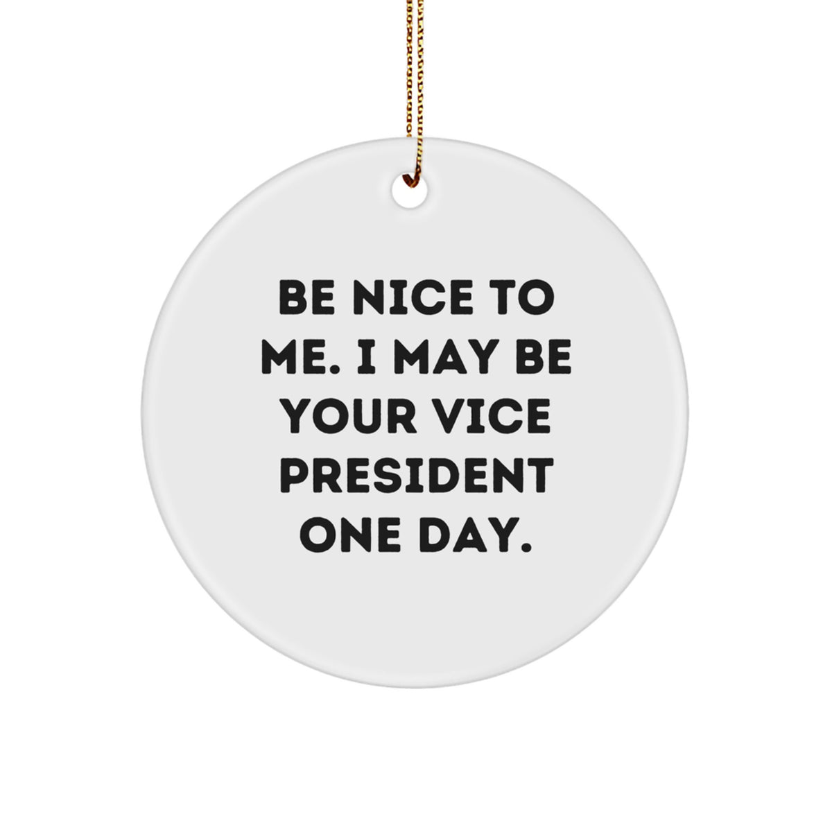 Funny Vice President Gifts from Friends and Family, Christmas Unique Ornaments for Men, Women, Coworkers, Inspirational Quotes, Be Nice To Me. I May Be Your Vice President One Day. - Image 1