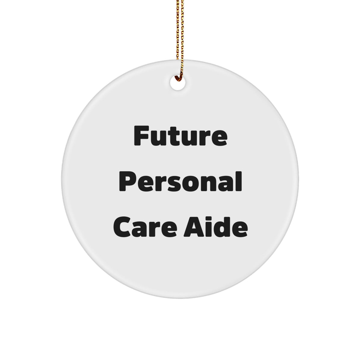 Funny Future Personal Care Aide Gifts from Men to Women, Personal Care Aide Circle Ornament, Inspirational Quote Christmas Unique Gifts - Image 1