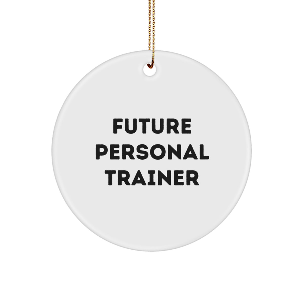 Funny Personal Trainer Quote Circle Ornament Gifts from Friends for Future Personal Trainer Christmas Unique Gifts - Image 1