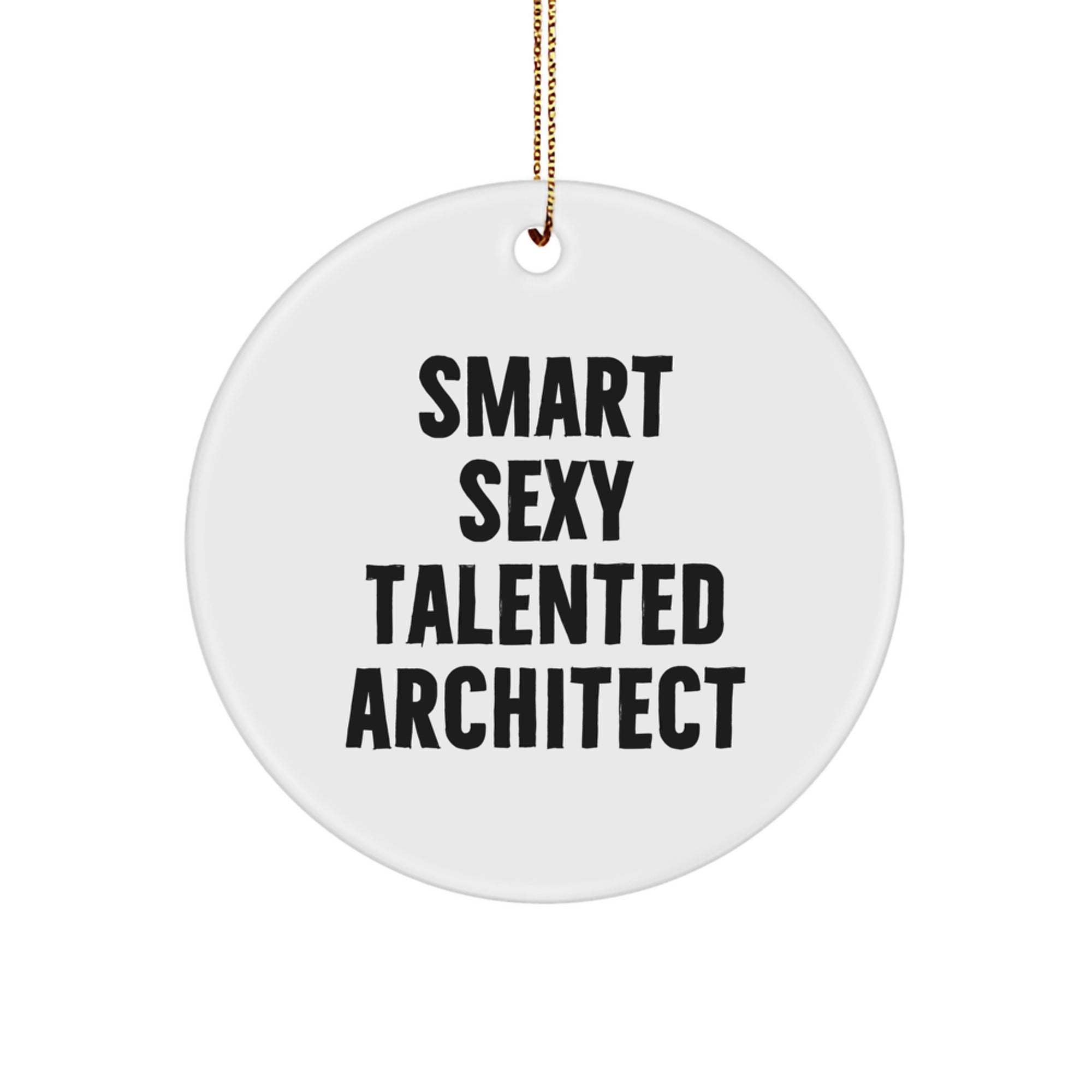Smart Sexy Talented Architect Gifts for Christmas - Funny Circle Ornament from Friends, Coworkers, or Family - Image 1