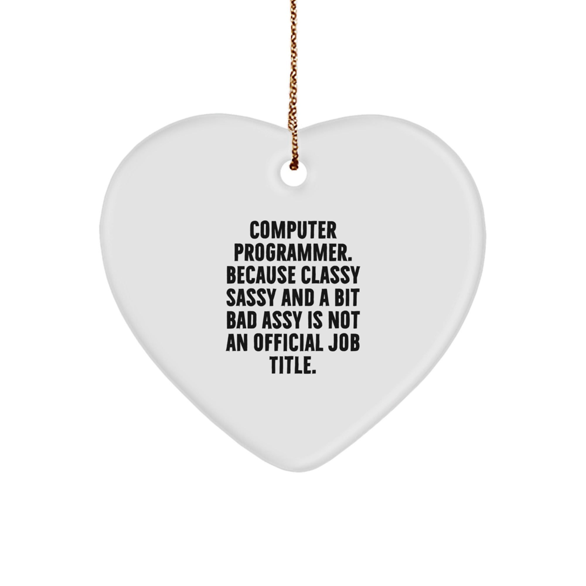 Funny Computer Programmer Gifts from Friends, Gifts for Computer Programmer, Computer Programmer Heart Ornament for Christmas Unique - Image 1