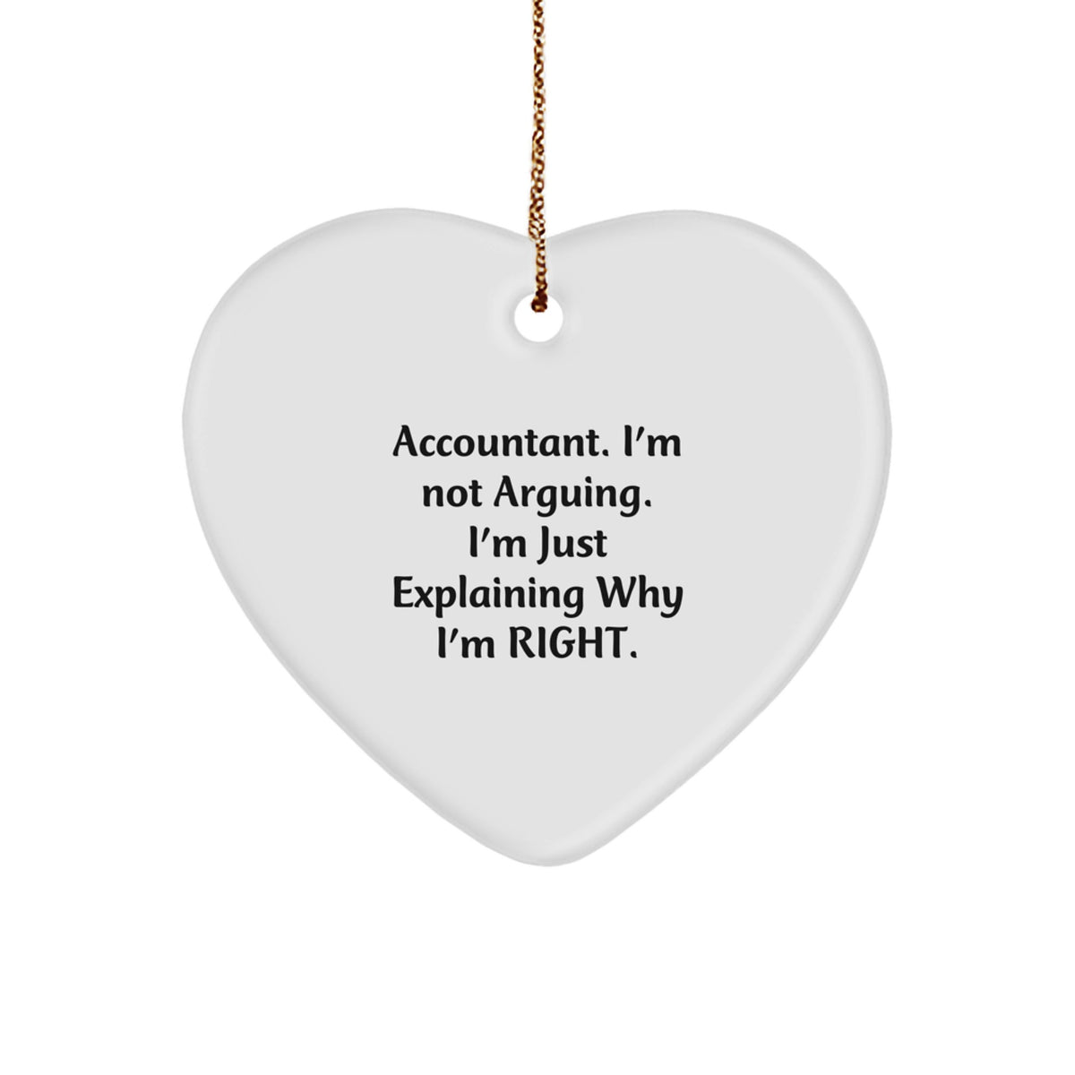 Funny Accountant Gifts from Friends for Christmas Unique Heart Ornaments - Image 1