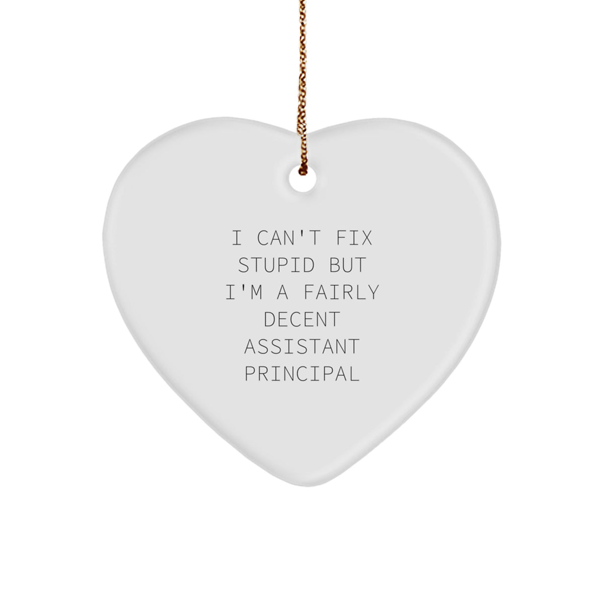 Funny Assistant Principal Gifts, Heart Ornament for Christmas, 'I Can't Fix Stupid' Quote, Gifts from Men for Women Coworkers - Image 1