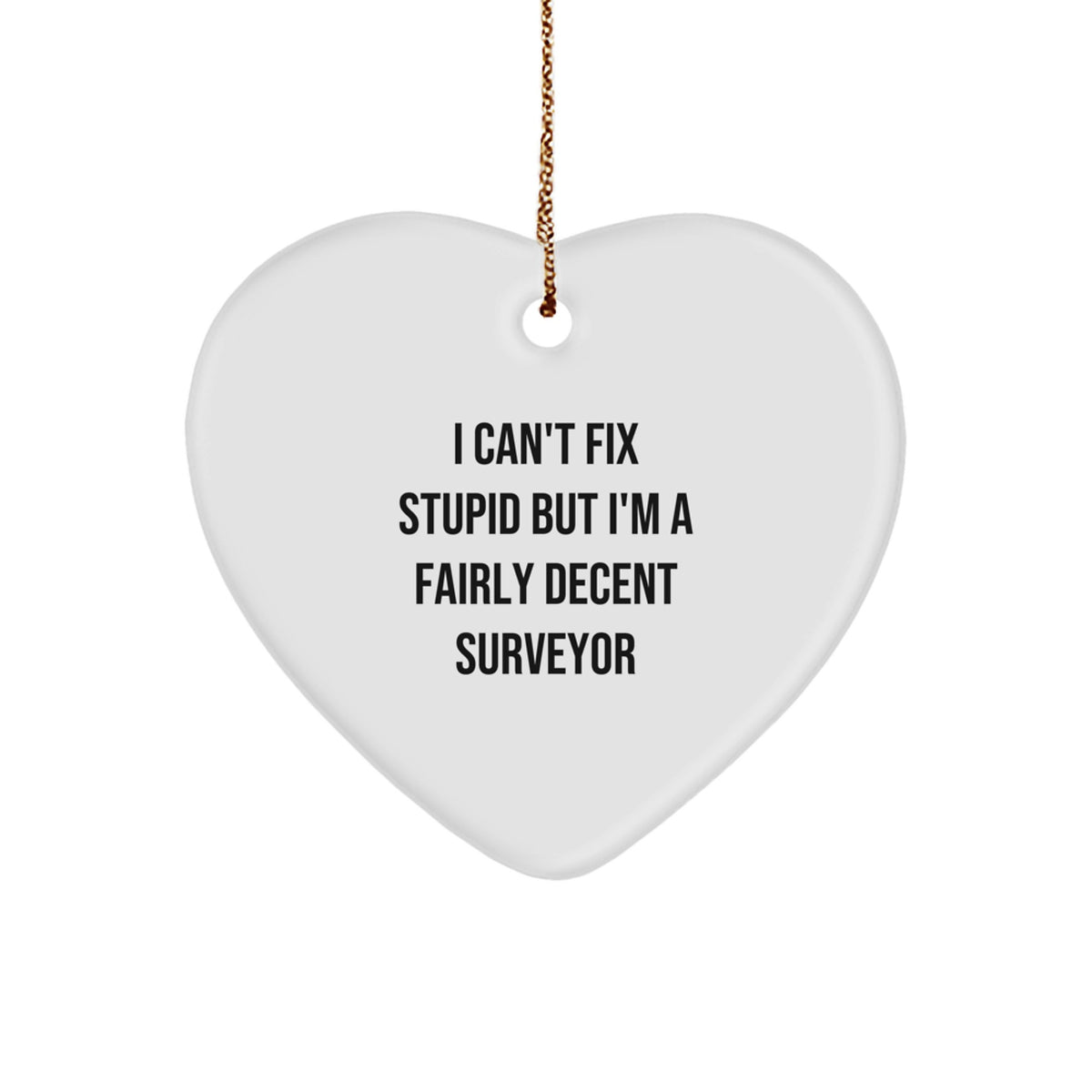Funny Surveyor Gifts, Heart Ornament for Men, Christmas Unique Presents, 'I Can't Fix Stupid But I'm A Fairly Decent Surveyor' Quote, Gifts from Men to Surveyors - Image 1
