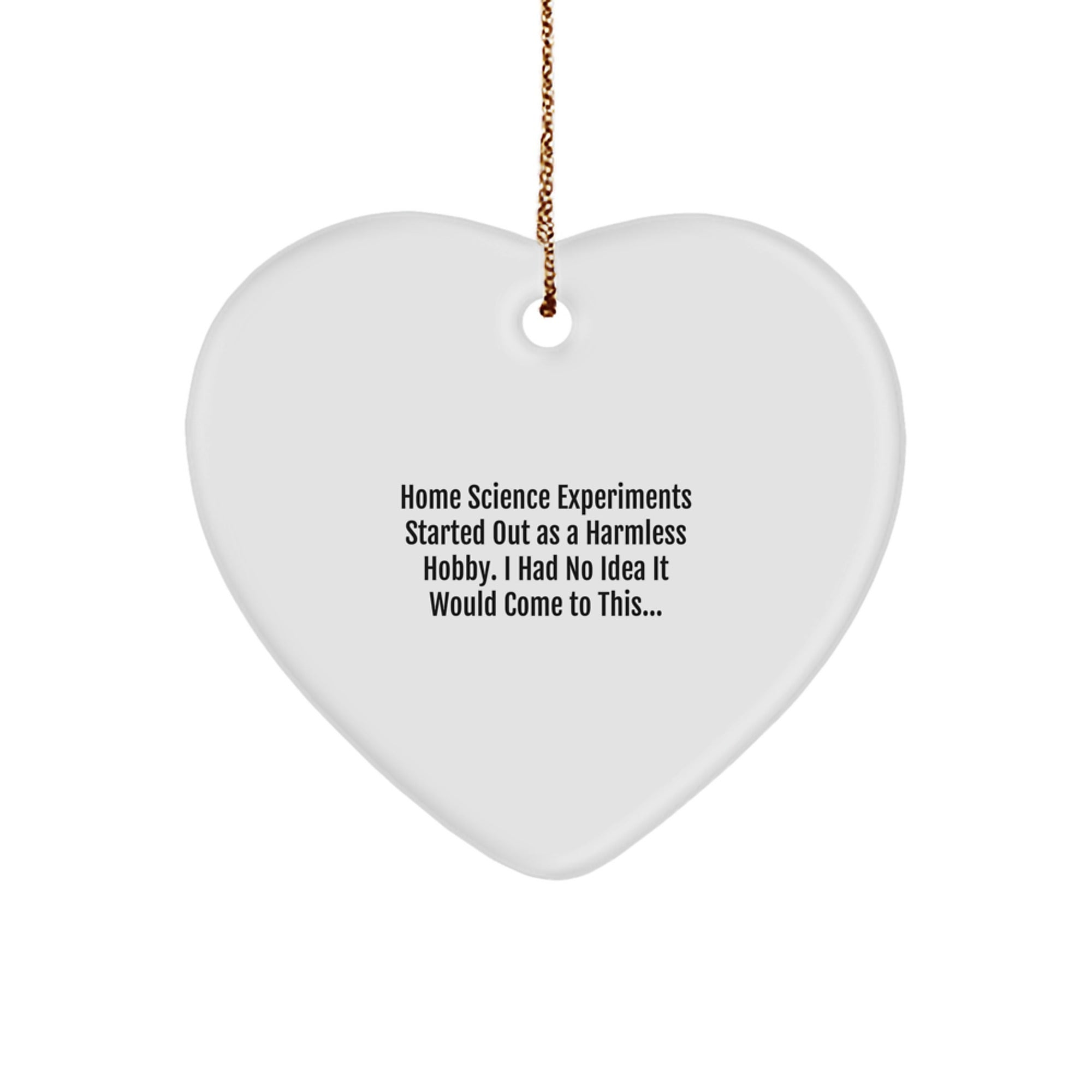 Funny Home Science Experiments Gifts from Family - Heart Ornament for Home Science Experiments Lovers - Christmas Unique Gifts for Home Science Enthusiasts Started Out As A Harmless Hobby - Image 1