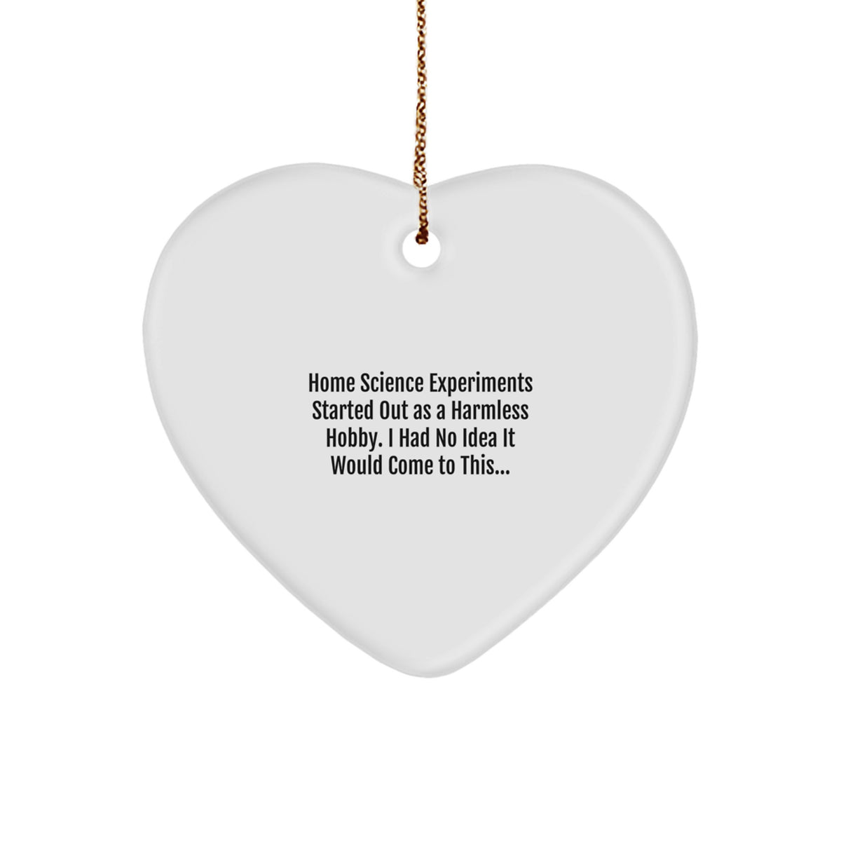 Funny Home Science Experiments Gifts from Family - Heart Ornament for Home Science Experiments Lovers - Christmas Unique Gifts for Home Science Enthusiasts Started Out As A Harmless Hobby - Image 1