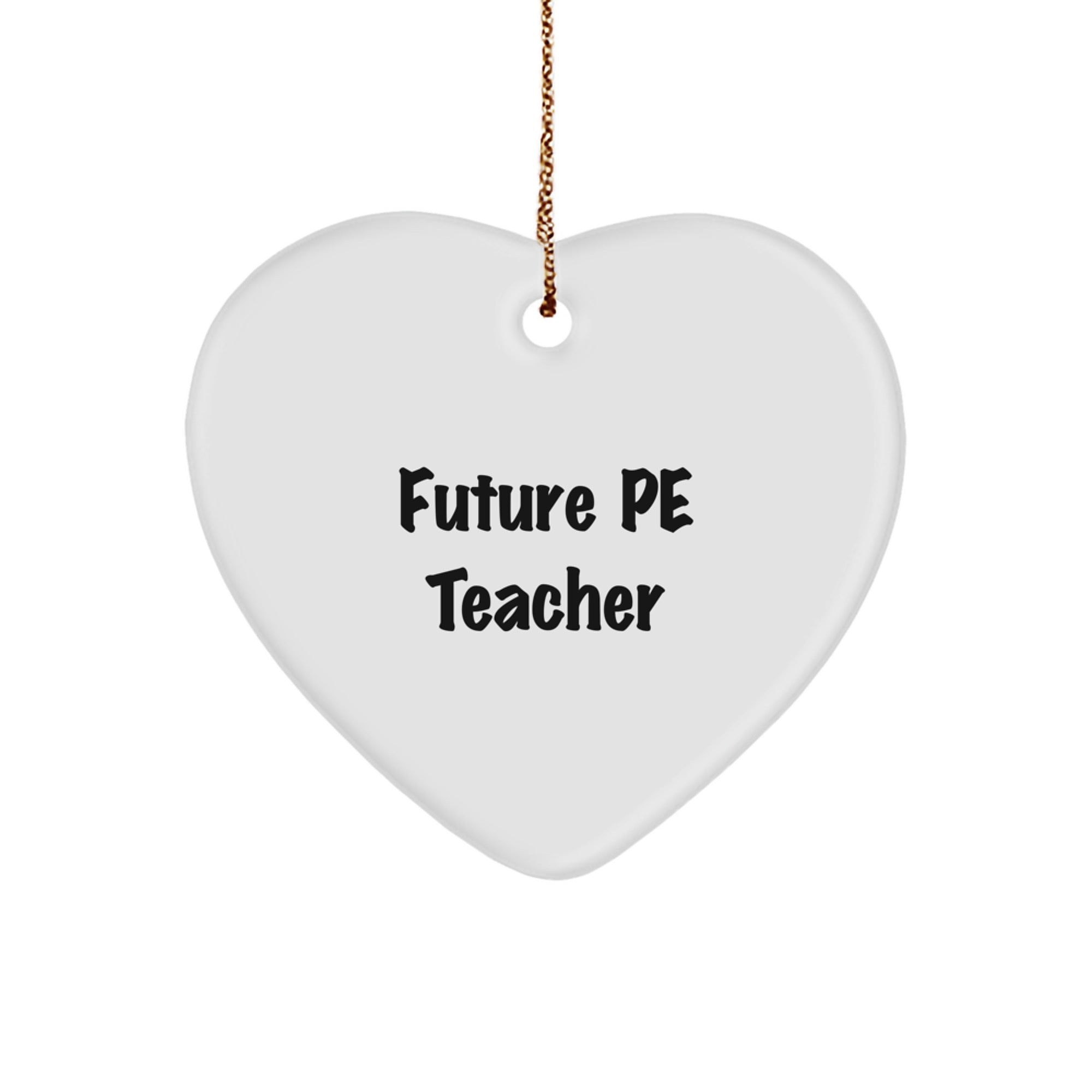 A Funny Heart Ornament for Future PE Teachers - Gifts from Friends for PE Teacher Christmas Unique Gifts - Image 1