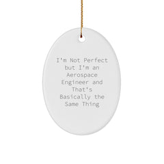 Aerospace Engineer Gifts for Men Friends Coworkers Family - Funny Oval Ornament with 'I'm Not Perfect But I'm An Aerospace Engineer And That's Basically The Same Thing' Quote - Christmas Unique Gifts - Image 1