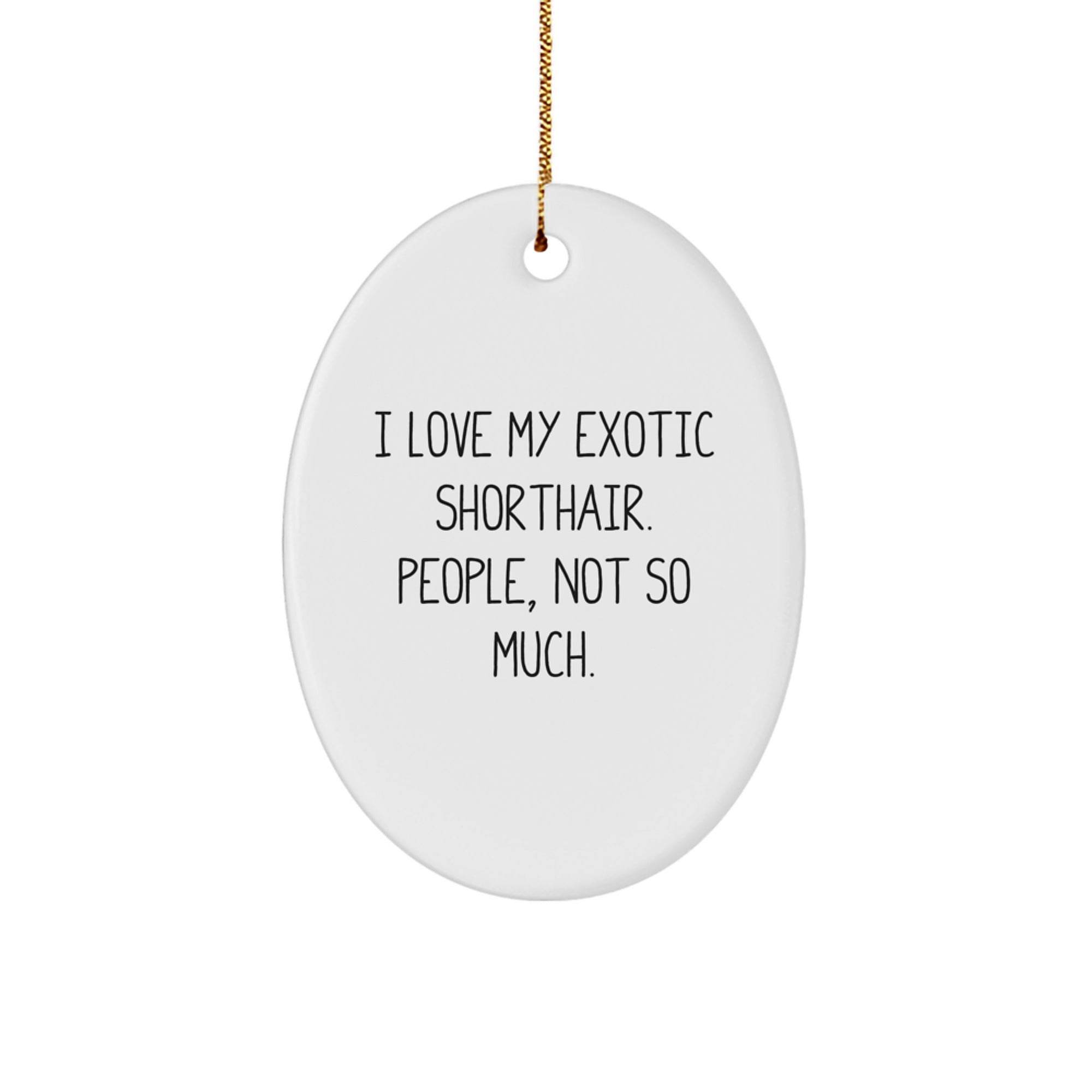 Exotic Shorthair Cat Lovers Gifts from Family, Friends, or Coworkers - Funny Oval Ornament for Christmas Unique Gifts - Image 1
