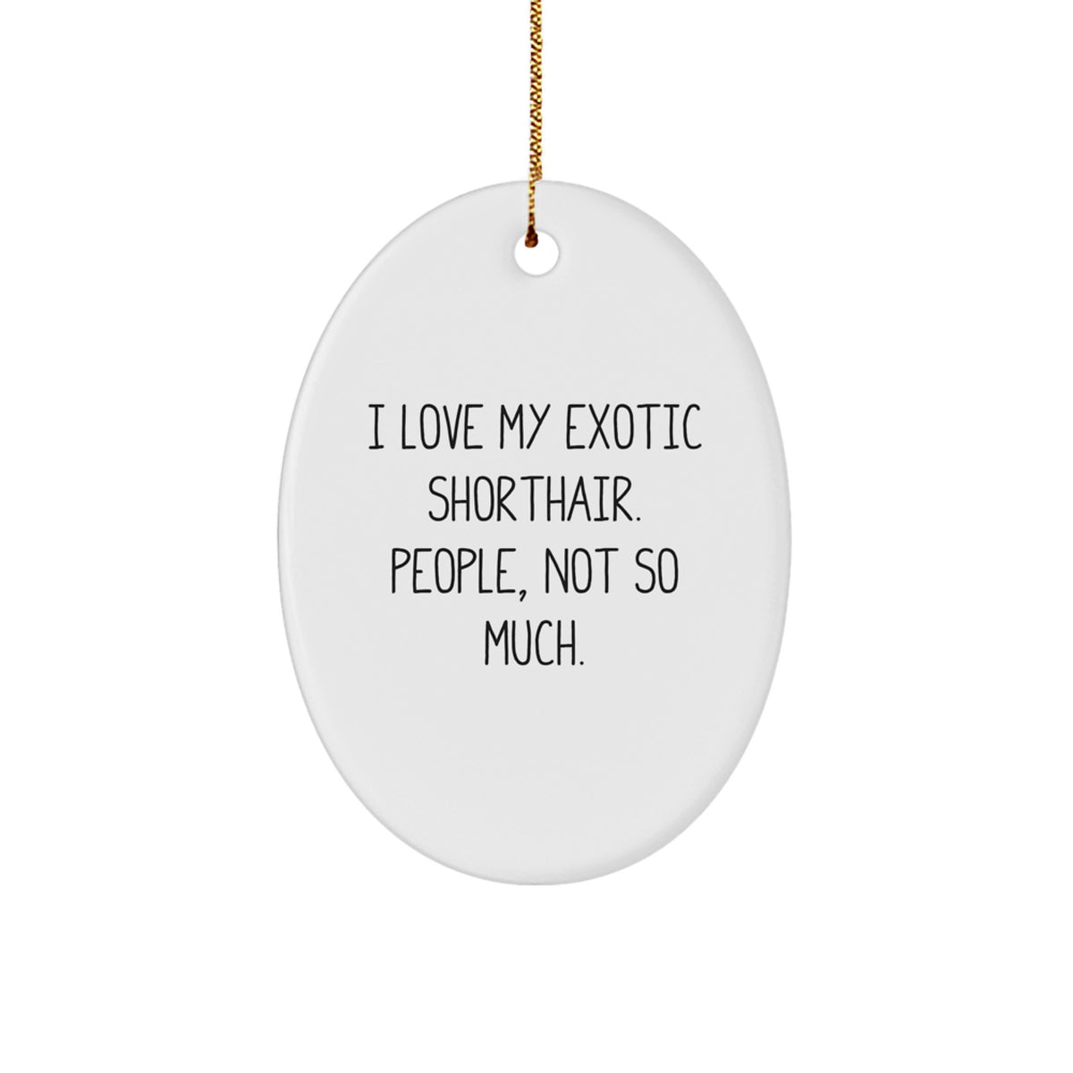 Exotic Shorthair Cat Lovers Gifts from Family, Friends, or Coworkers - Funny Oval Ornament for Christmas Unique Gifts - Image 1