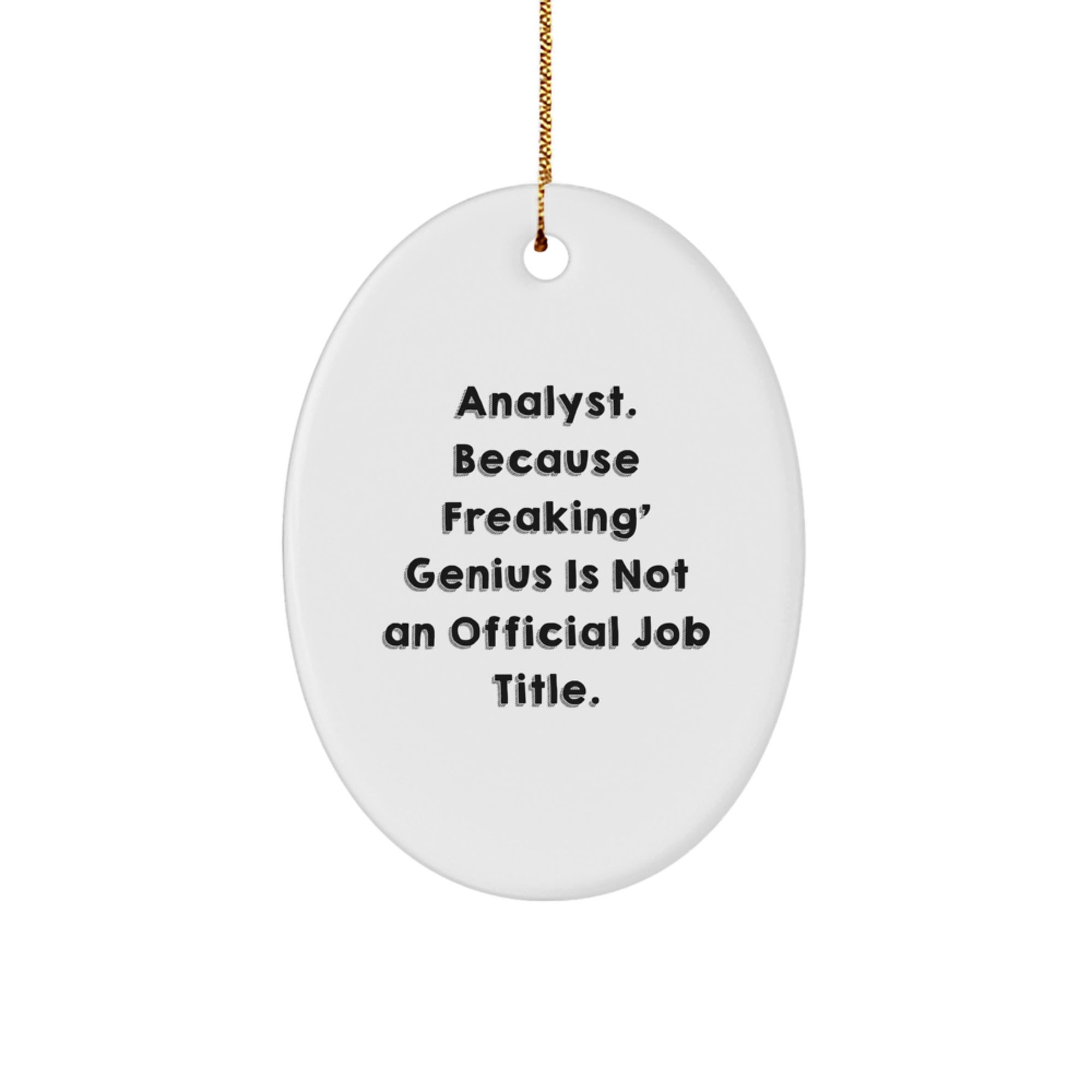 Funny Analyst Oval Ornament Gifts from Friends for Christmas Unique Presents - Image 1