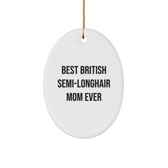 British Semi-Longhair Cat Lovers Gifts from Friends for Christmas Oval Ornament - Image 1