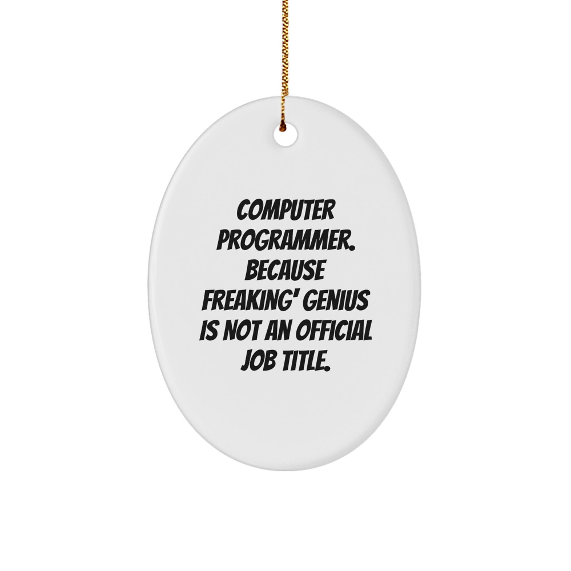 Funny Computer Programmer Oval Ornament Gifts from Friends, Coworkers, Family - 'Computer Programmer Because Freaking genius Is Not An Official Job Title' Oval Decoration for Men, Women, Office, Home - Image 1