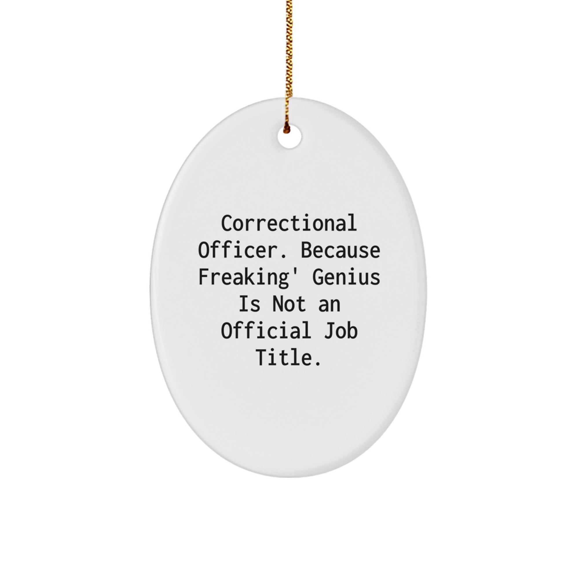 Funny Correctional Officer Gifts from Friends, Christmas Unique Gifts for Correctional Officer, Oval Ornament Correctional Officer Quote - Image 1