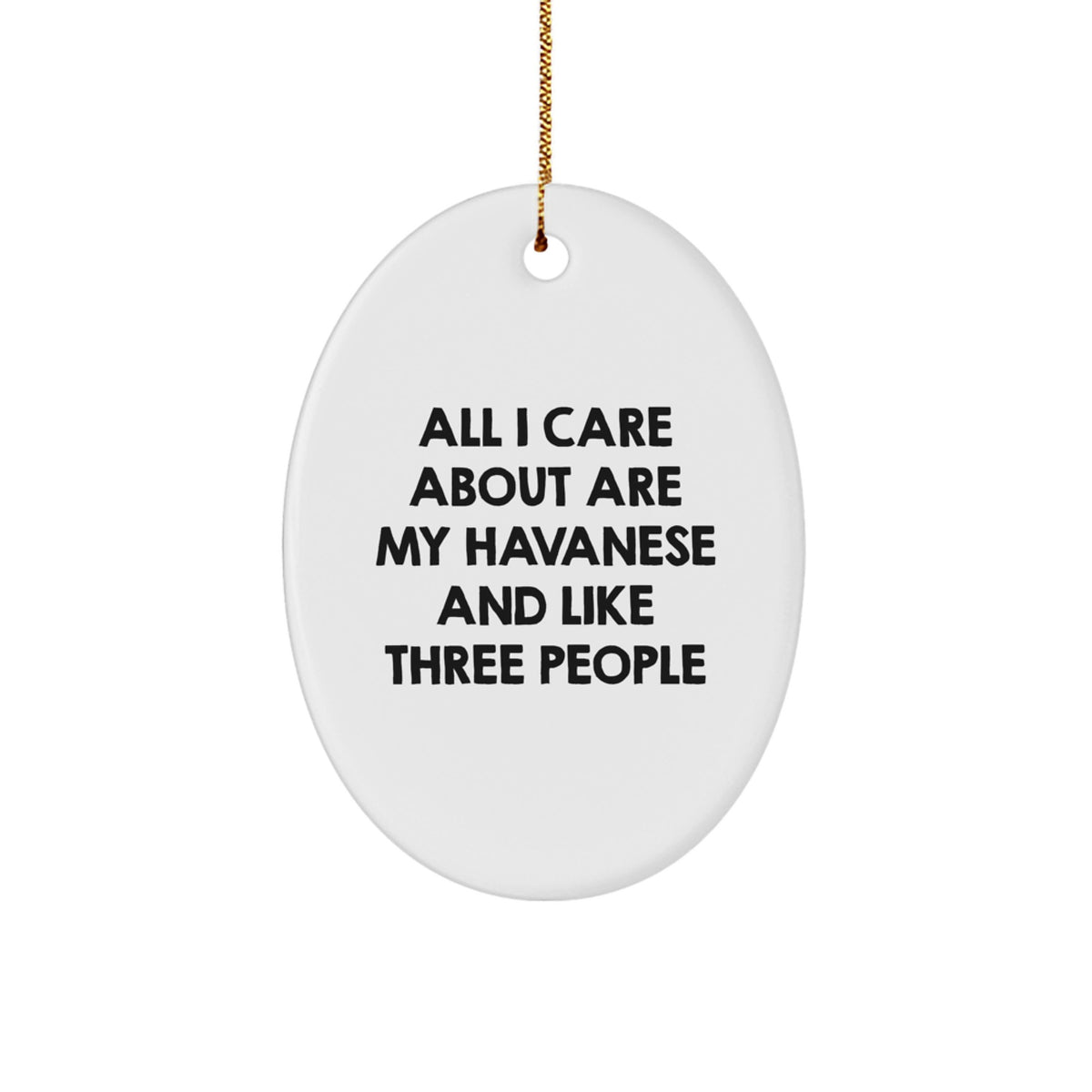Funny Havanese Dog Lover Gifts from Family for Christmas Oval Ornament, All I Care About Are My Havanese And Like Three People - Image 1