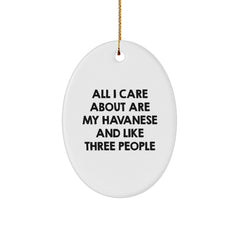 Funny Havanese Dog Lover Gifts from Family for Christmas Oval Ornament, All I Care About Are My Havanese And Like Three People - Image 1