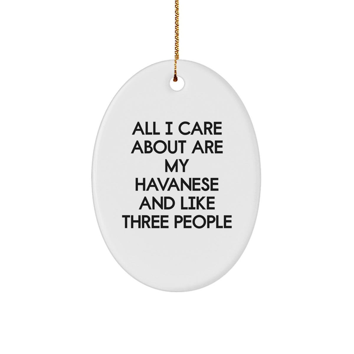 Funny Havanese Dog Lover Gifts from Friends and Family for Christmas Unique - Image 1