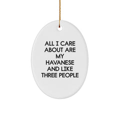 Funny Havanese Dog Lover Gifts from Friends and Family for Christmas Unique - Image 1