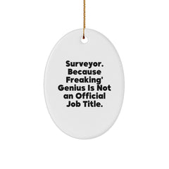 Funny Surveyor Gifts for Men, Unique Oval Ornament for Surveyor, Christmas Unique Gifts from Men, Oval Shaped Decorative Accent - Image 1