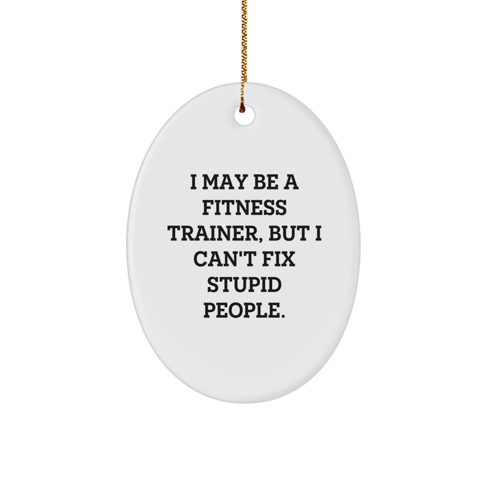 Fitness Trainer Christmas Unique Gifts from Family - Oval Ornament I May Be A 'Fitness Trainer' But I Can't Fix Stupid People - Funny Oval Shaped Decor - Image 1