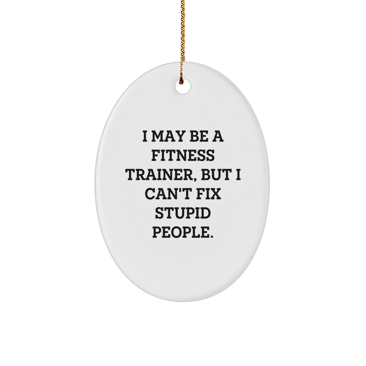 Fitness Trainer Christmas Unique Gifts from Family - Oval Ornament I May Be A 'Fitness Trainer' But I Can't Fix Stupid People - Funny Oval Shaped Decor - Image 1