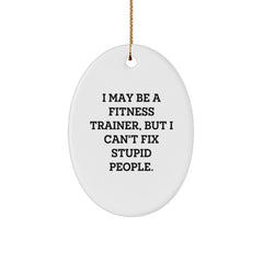 Fitness Trainer Christmas Unique Gifts from Family - Oval Ornament I May Be A 'Fitness Trainer' But I Can't Fix Stupid People - Funny Oval Shaped Decor - Image 1