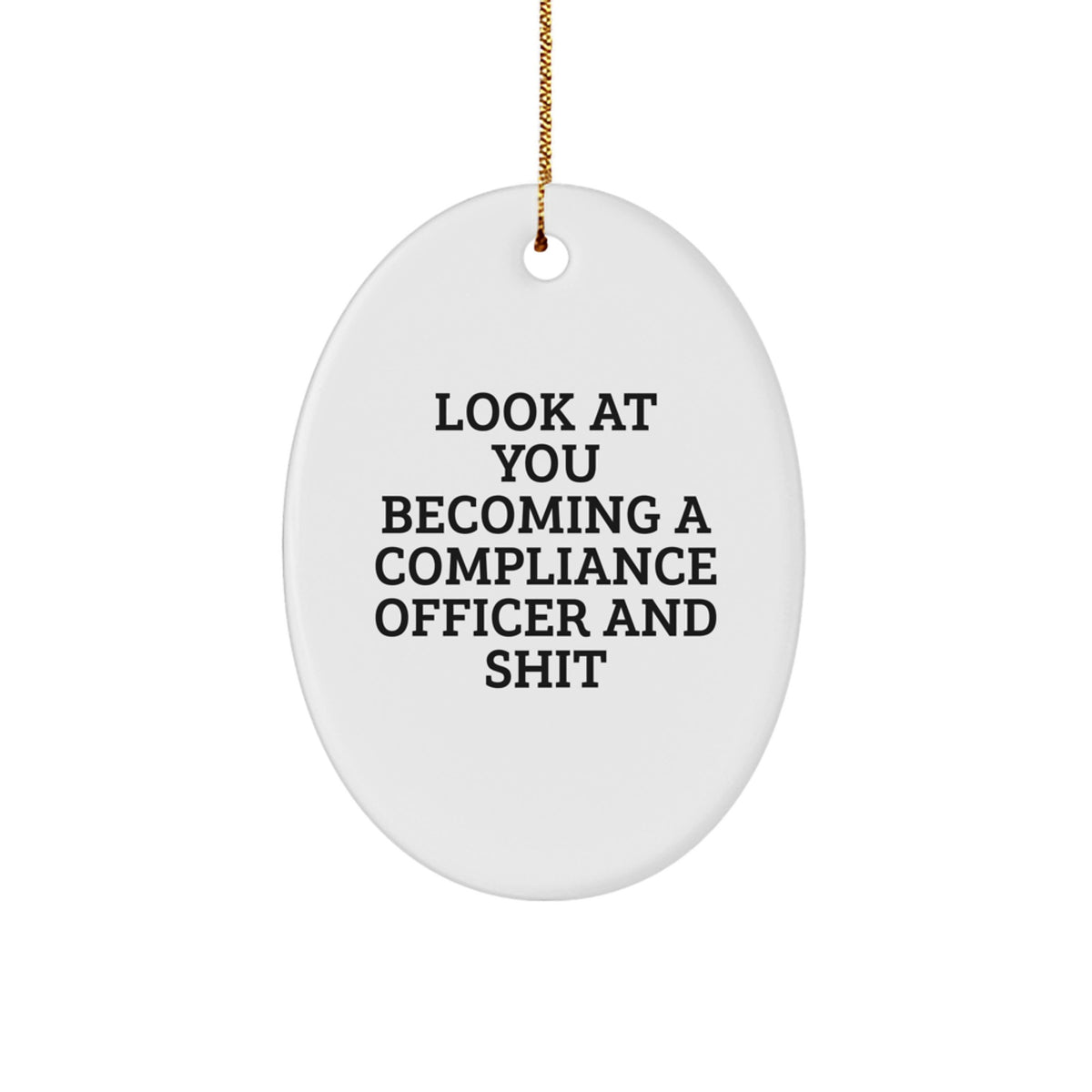 Funny Compliance Officer Gifts for Him, Oval Ornament with 'Look At You Becoming A Compliance Officer And Shit' Humor, Gifts from Men, Perfect Office Christmas Unique Decorations - Image 1