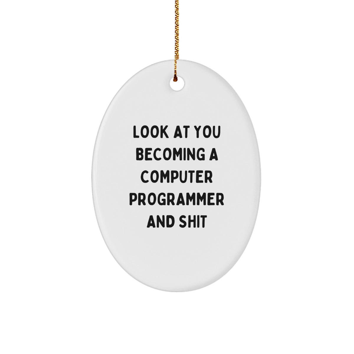 Funny Computer Programmer Gifts for Men Friends Family - Oval Ornament with 'Look At You Becoming A Computer Programmer And Shit' Quote, Christmas Unique Gifts from Friends to Computer Programmer - Image 1