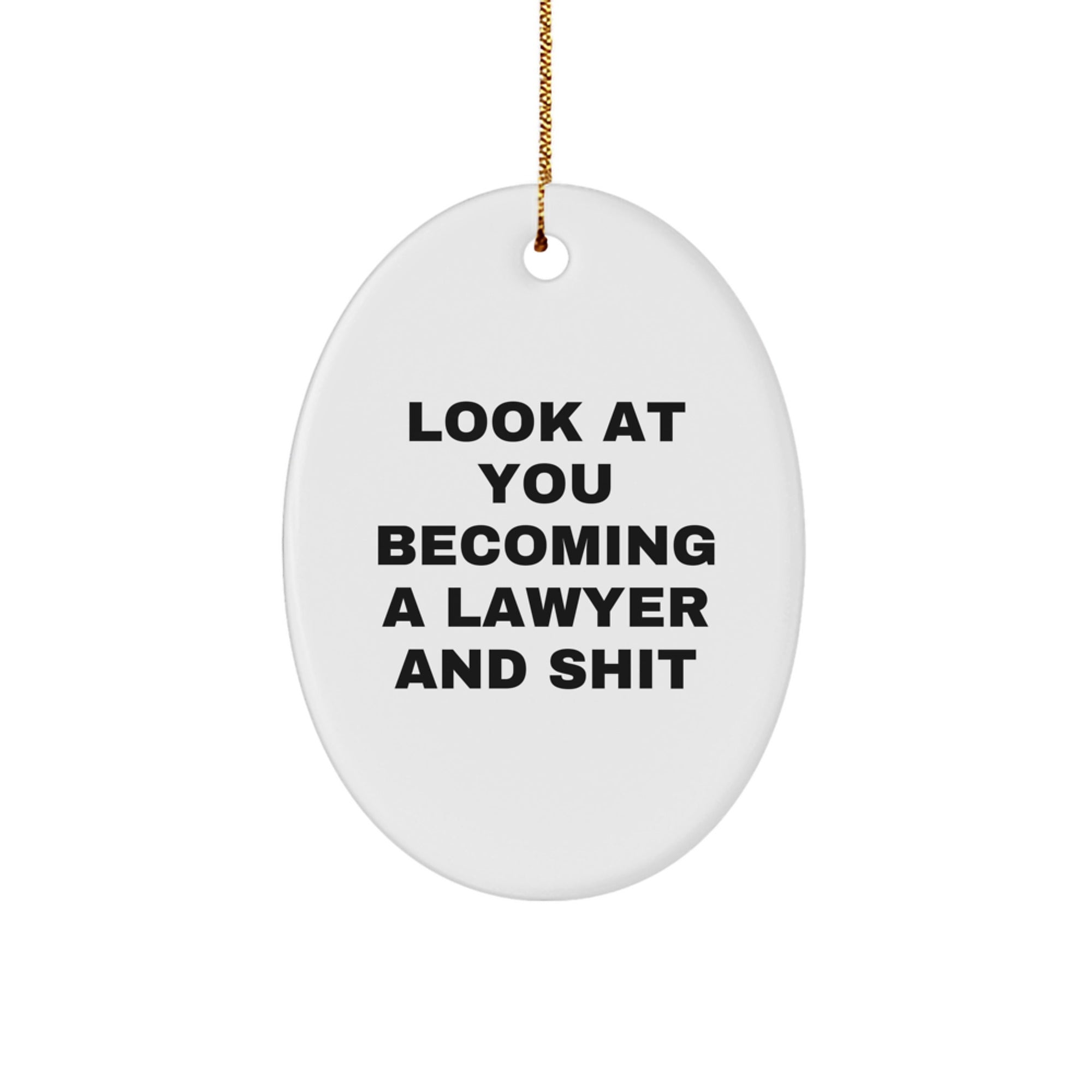 Funny Lawyer Gifts for Men Women Friends Family - Unique Oval Ornament 'Look At You Becoming A Lawyer And Shit' - Christmas Unique Gifts from Friends to Family - Image 1