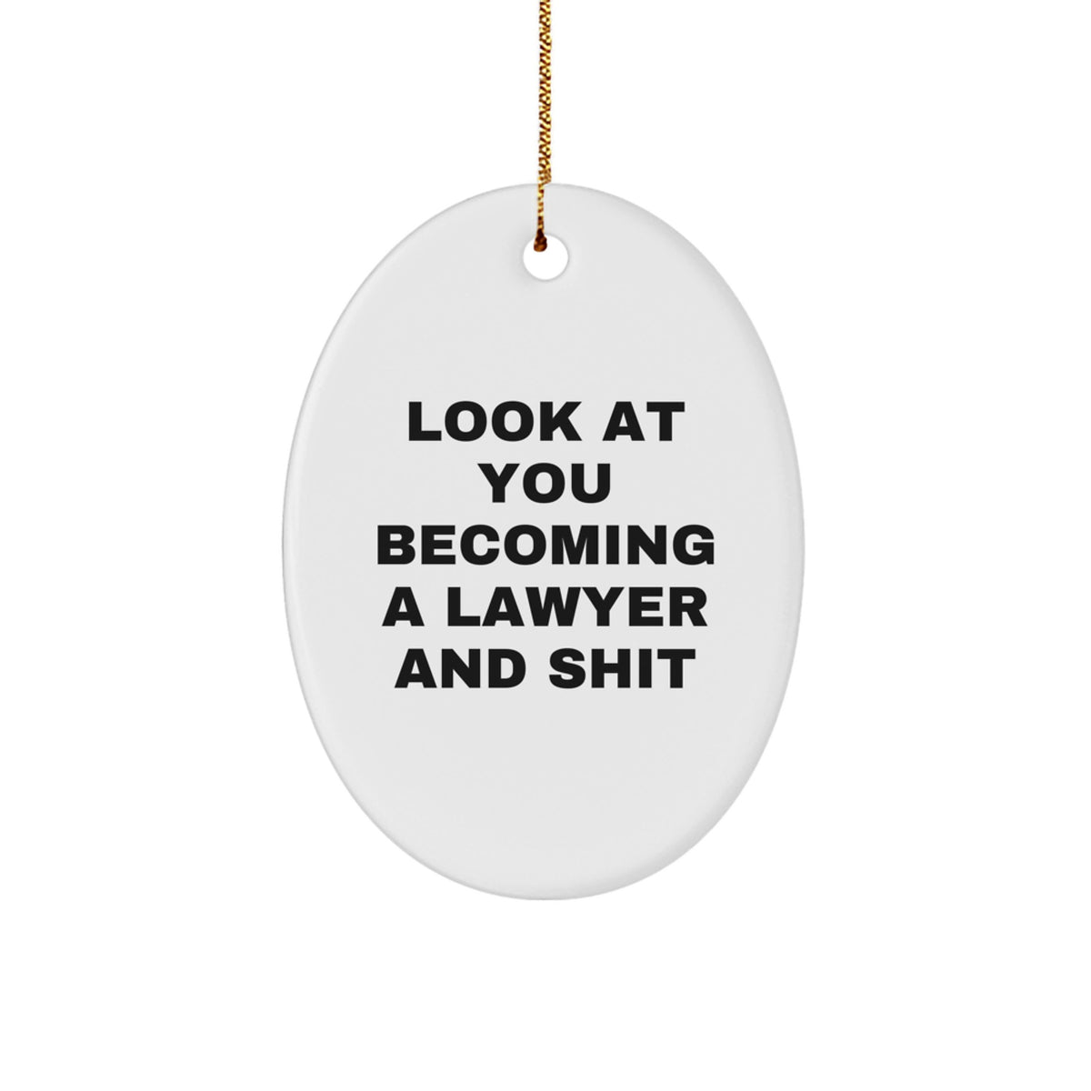 Funny Lawyer Gifts for Men Women Friends Family - Unique Oval Ornament 'Look At You Becoming A Lawyer And Shit' - Christmas Unique Gifts from Friends to Family - Image 1