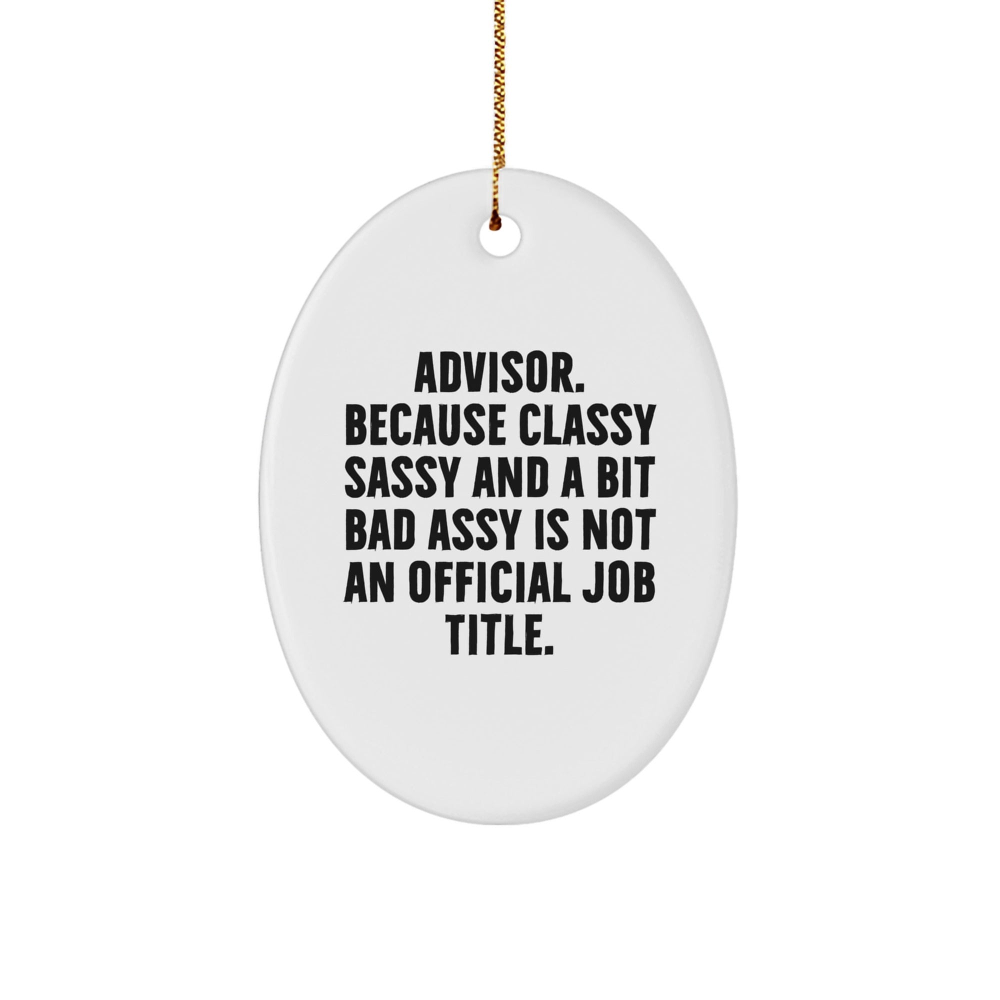 Funny Advisor Gifts from Friends - Oval Ornament for Christmas Unique Gifts - Image 1