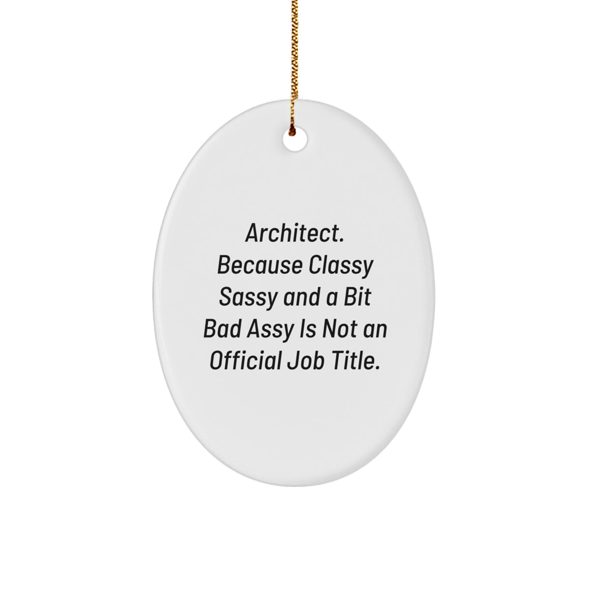 Funny Quote Oval Ornament Gifts for Architect Men Christmas Unique Gifts from Friends - Image 1