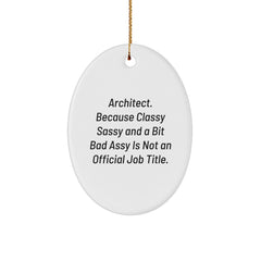 Funny Quote Oval Ornament Gifts for Architect Men Christmas Unique Gifts from Friends - Image 1