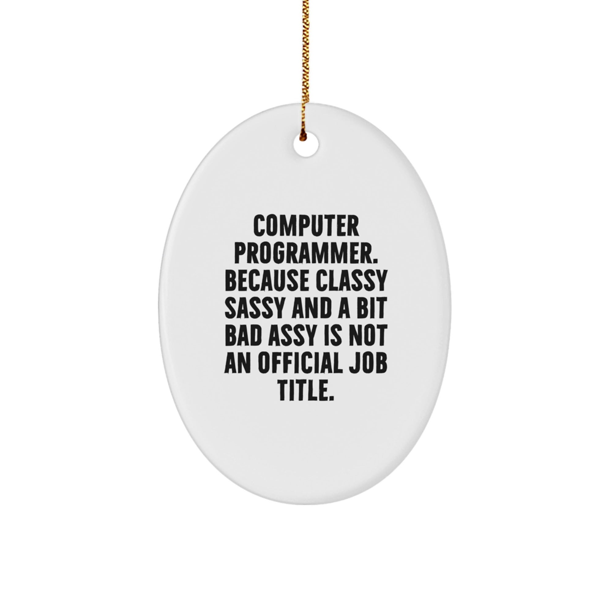 Funny Computer Programmer Gifts for Him - Oval Ornament - 'Classy Sassy And A Bit Fearlessy' Quote, Unique Christmas Unique Gifts from Men, Coworkers, Friends, Family - Image 1