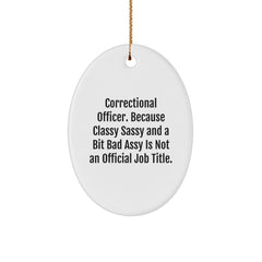 Funny Correctional Officer Gifts for Men Women - Oval Ornament with Inspirational Quote - Gifts from Friends Family Coworkers - Correctional Officer Christmas Unique Decorations - Image 1