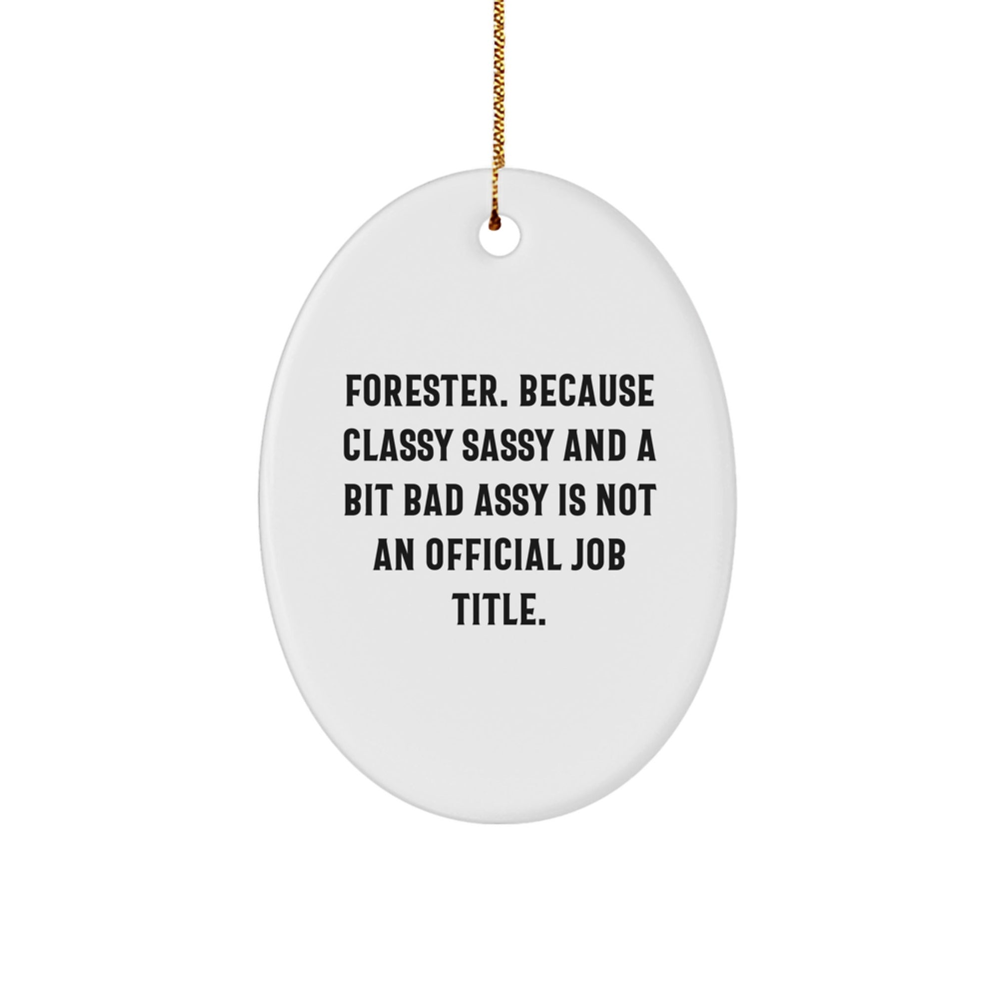 Fun Forester Gifts for the Classy Sassy Man in Your Life - Oval Ornament with Funny Quote - Image 1