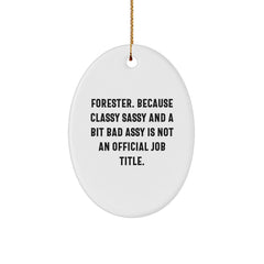Fun Forester Gifts for the Classy Sassy Man in Your Life - Oval Ornament with Funny Quote - Image 1