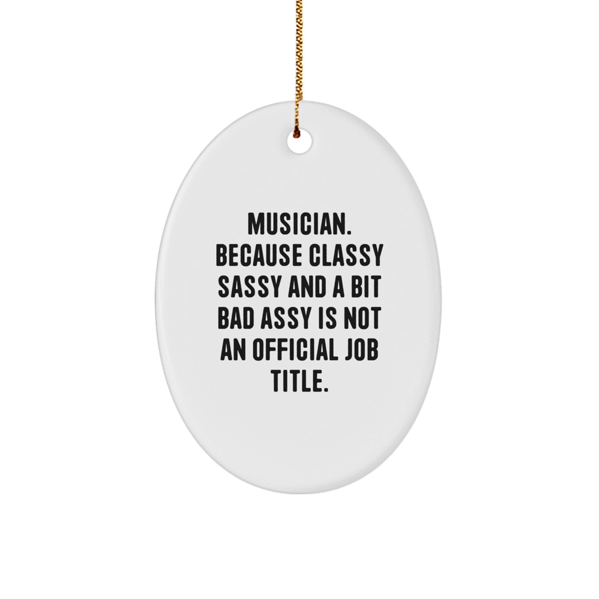 Funny Musician Oval Ornament Gifts for Musicians, Unique Christmas Unique Gifts from Friends, Family, Coworkers to Musician Men, Women, Oval Decorations - Image 1